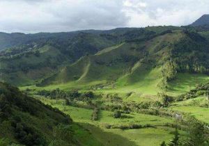 來石苗自然村 來石苗自然村