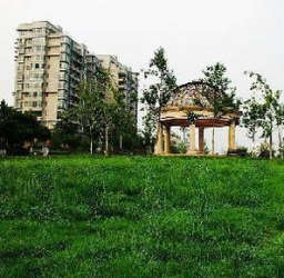 翠屏國際城梧桐苑 翠屏國際城梧桐苑