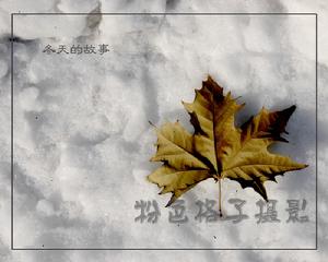 《冬天的故事》