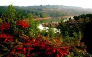 馬陵山自然保護區 馬陵山自然保護區