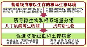 防治線蟲的作用機理。