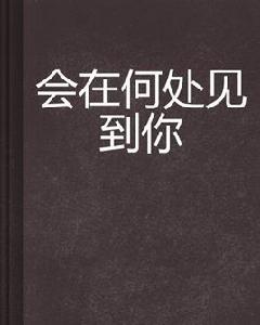 會在何處見到你 會在何處見到你