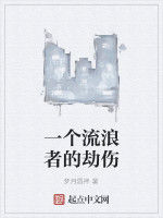 一個流浪者的劫傷 一個流浪者的劫傷