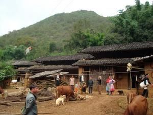 清水井自然村 清水井自然村