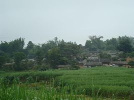 崗東自然村 崗東自然村