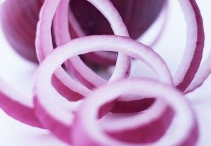 甘肅紅蔥 甘肅紅蔥