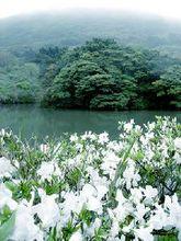 愛無能，幸福不能