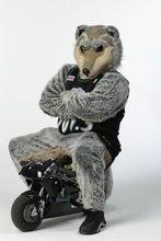 明尼蘇達森林狼隊[職業籃球隊]