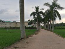 往學校的水泥路