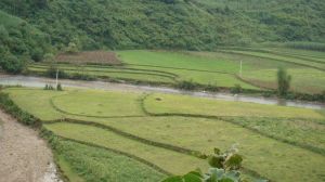 曼海下寨村 曼海下寨村