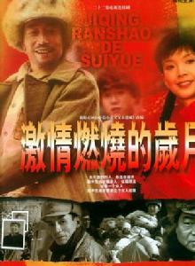 激情燃燒的歲月[2001年孫海英、呂麗萍主演電視劇]