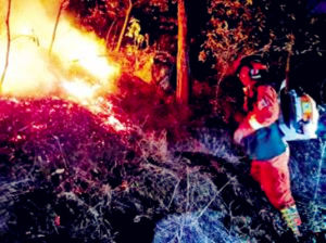 5·7雲南麗江山火 5·7雲南麗江山火