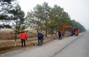 楊樹林鄉 楊樹林鄉