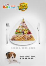 波奇[寵物網站]