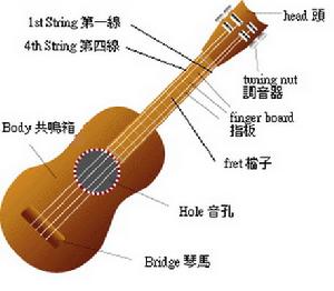 Ukulele的結構