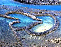 雙心石滬 雙心石滬