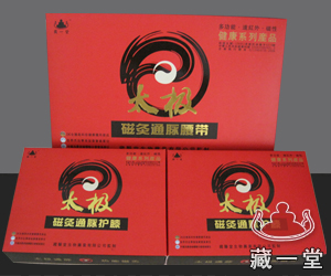 太極磁灸通脈腰帶