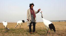 愛上鹽城丹頂鶴 愛上鹽城丹頂鶴