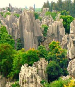 鍾靈山國家森林公園 鍾靈山國家森林公園