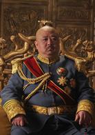 護國大將軍[2011年王文杰執導電視劇]