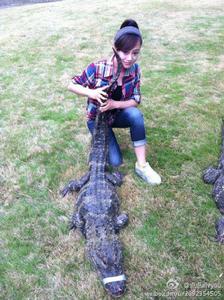 趙宇婷主持活動組圖