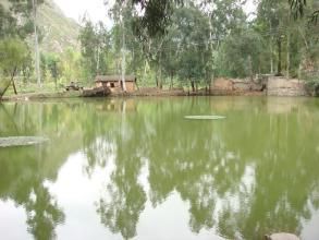 新建村自然村 新建村自然村