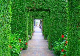 明尼阿波利斯雕塑花園 明尼阿波利斯雕塑花園