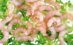 牡丹鮮蝦仁 牡丹鮮蝦仁