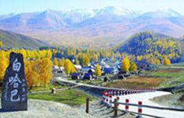 白哈巴村 白哈巴村