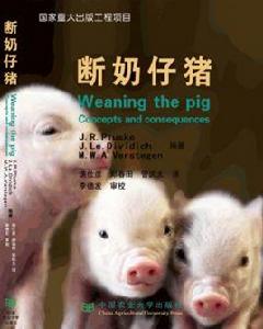 斷奶仔豬 斷奶仔豬