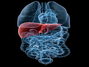 肝硬化腹水 肝硬化腹水