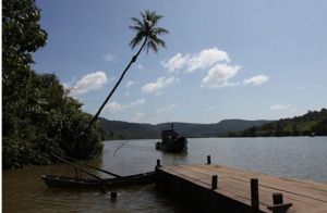 《奧邁耶的痴夢》 《奧邁耶的痴夢》