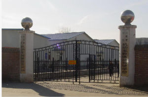 京東駕校 京東駕校