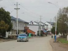 王河鎮[安徽省潛山市王河鎮]