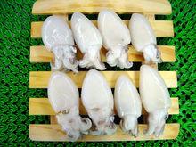 金烏賊[金烏賊]