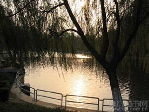 湖裡公園 湖裡公園