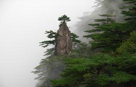 夢筆生花[景區]