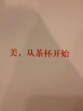 《美從茶杯開始》 《美從茶杯開始》