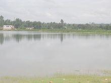 大樹營村-水資源