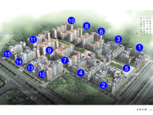 悉尼陽光 悉尼陽光