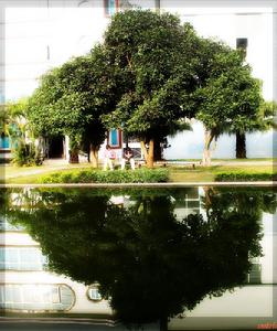 思茅師範高等專科學校