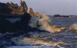 東海雜岩 東海雜岩