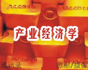 產業經濟學