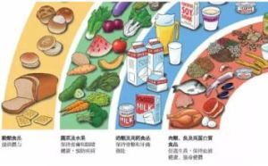 營養素密度 營養素密度