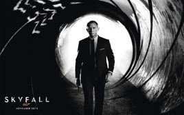 skyfall[一款角色扮演類的網路遊戲]