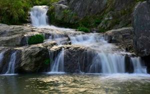九井溪森林公園 九井溪森林公園