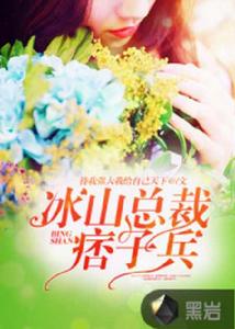 冰山總裁痞子兵 冰山總裁痞子兵