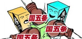 國五條細則 國五條細則