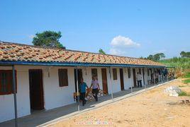 鳳凰崗村 鳳凰崗村