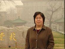 胡亞敏[華中師範大學文學院教授]